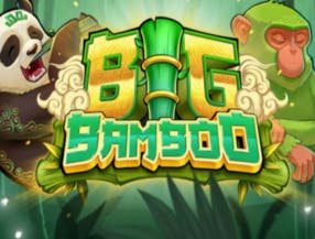 jogos do brasileirão ao vivo no celular